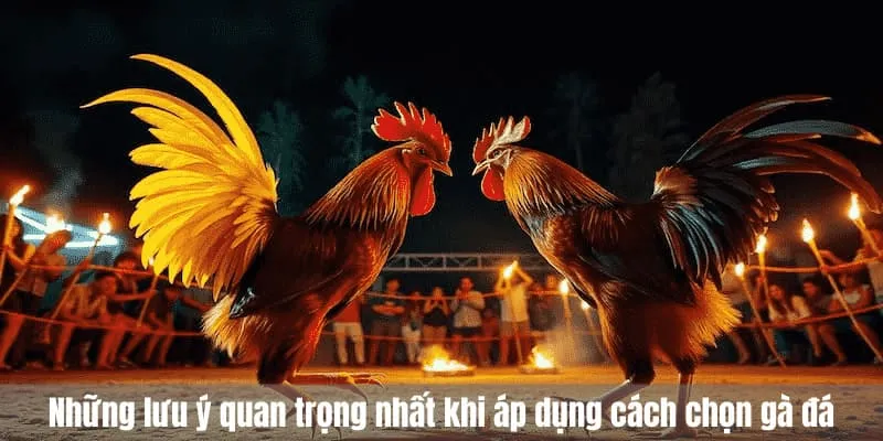 lưu ý khi chọn gà