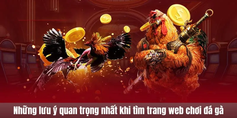 lưu ý tìm kiếm